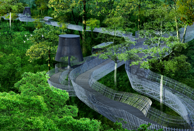 󺣹԰--ţɽɭֲ۹һθֽṹ