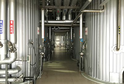 㽭Ϫֲִҩҵ԰ֲҩȡ